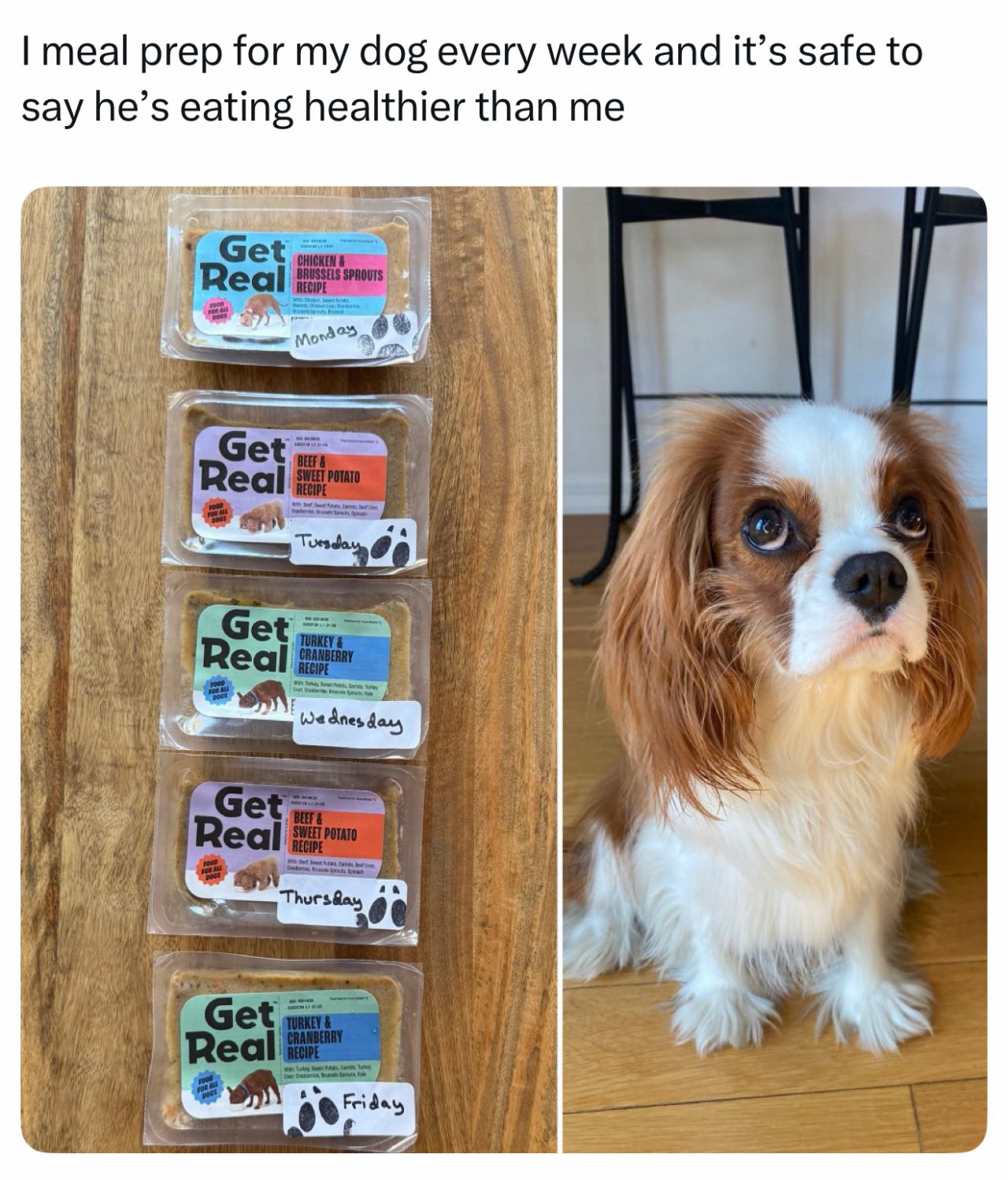 Chewy ad