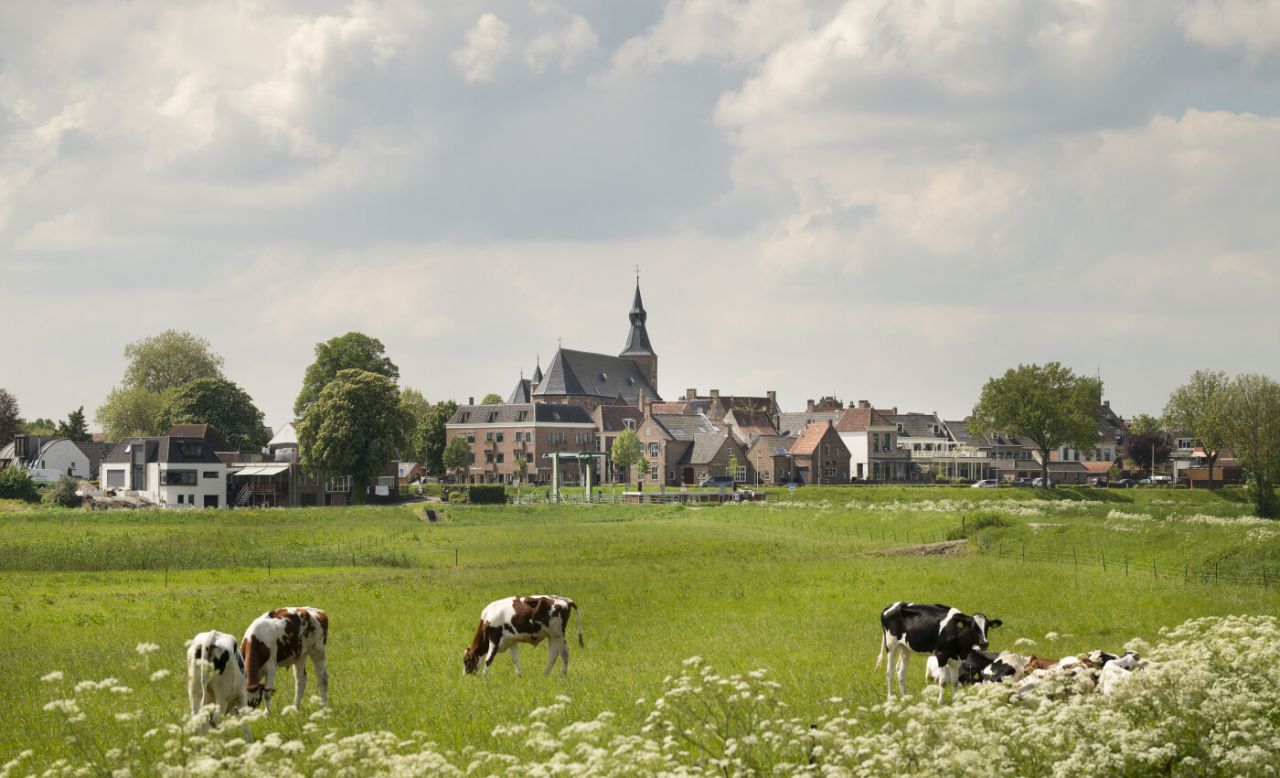 BeljonWesterterp B.V. ad