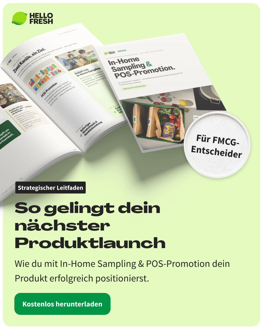 HelloFresh ad