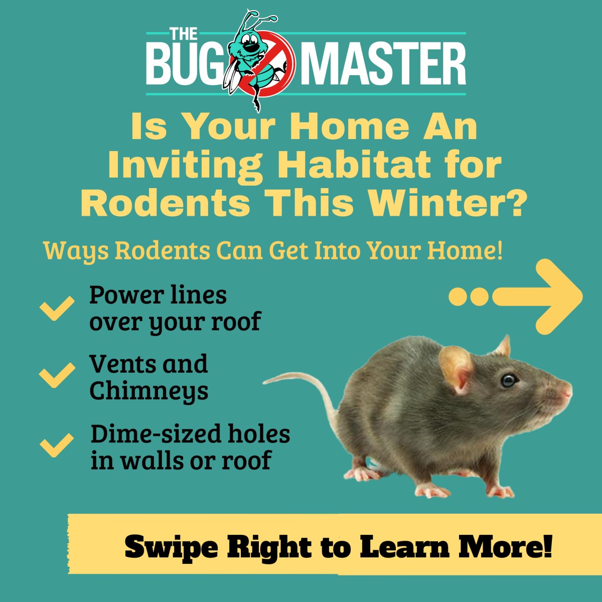 The Bug Master ad