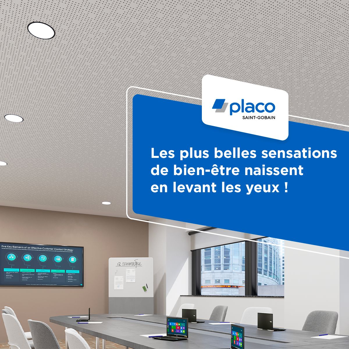 PLACO® ad