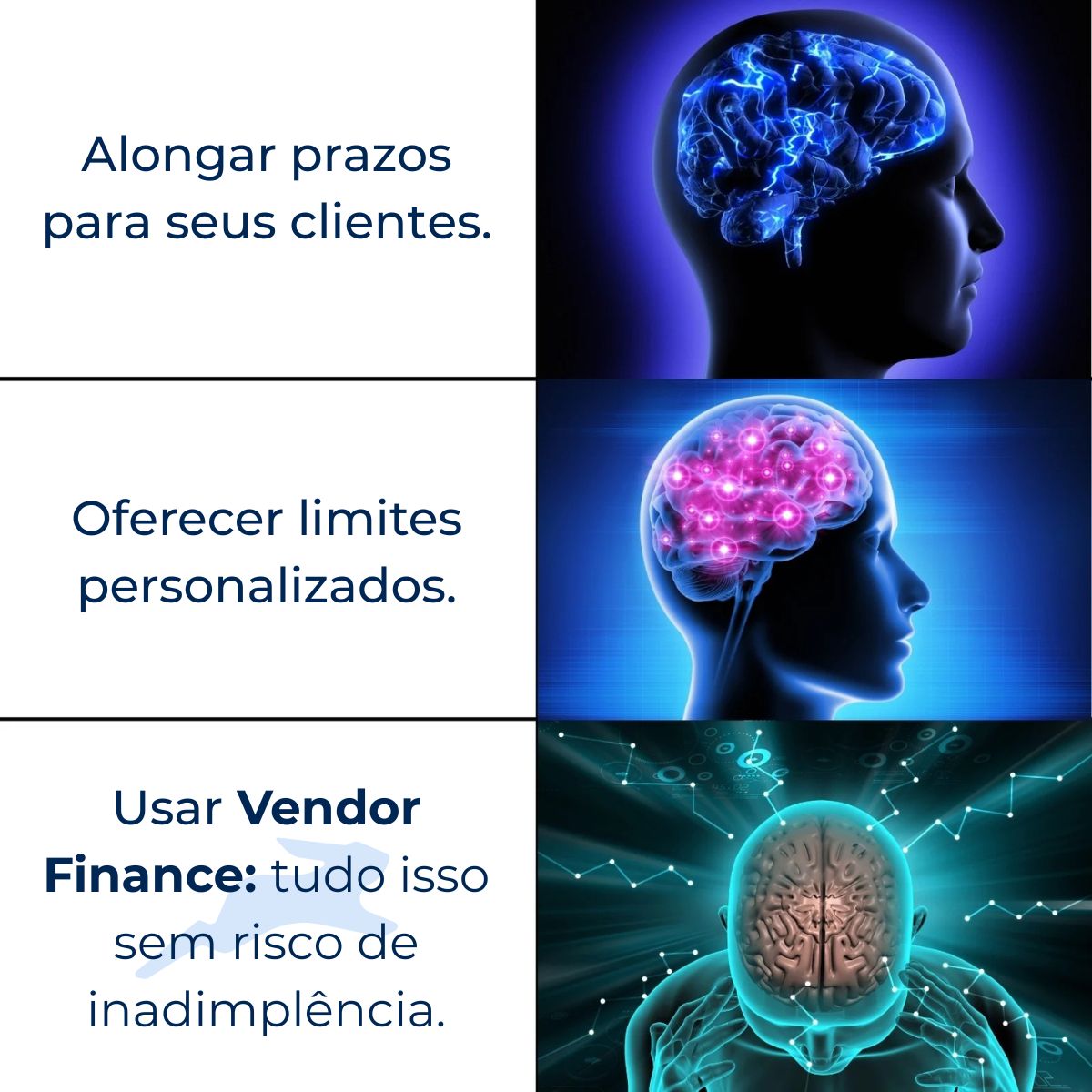Liber ad