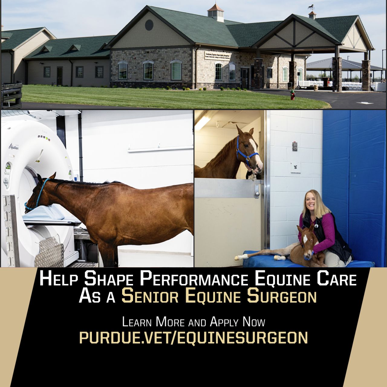 Purdue University College of Veterinary Medicine & Veterinary Hospital ad