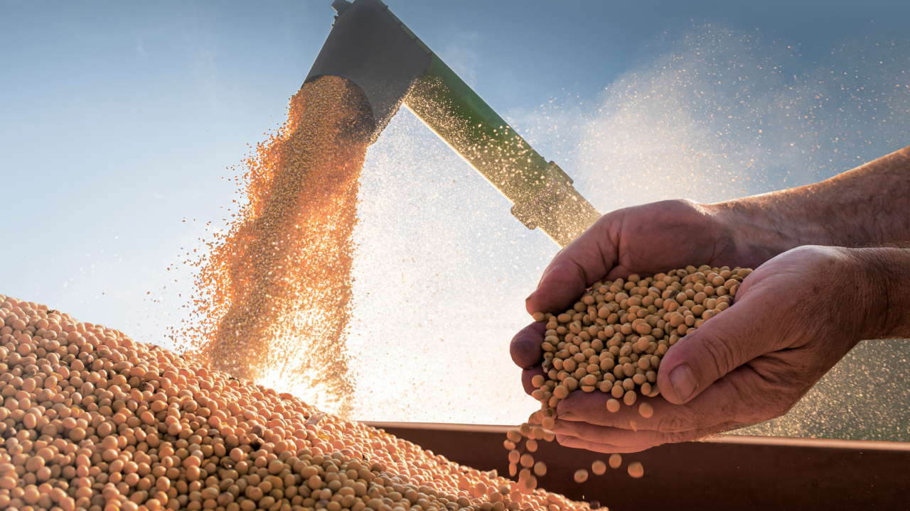 Cool Seed Indústria e Comércio de Equipamentos Agrícolas ad