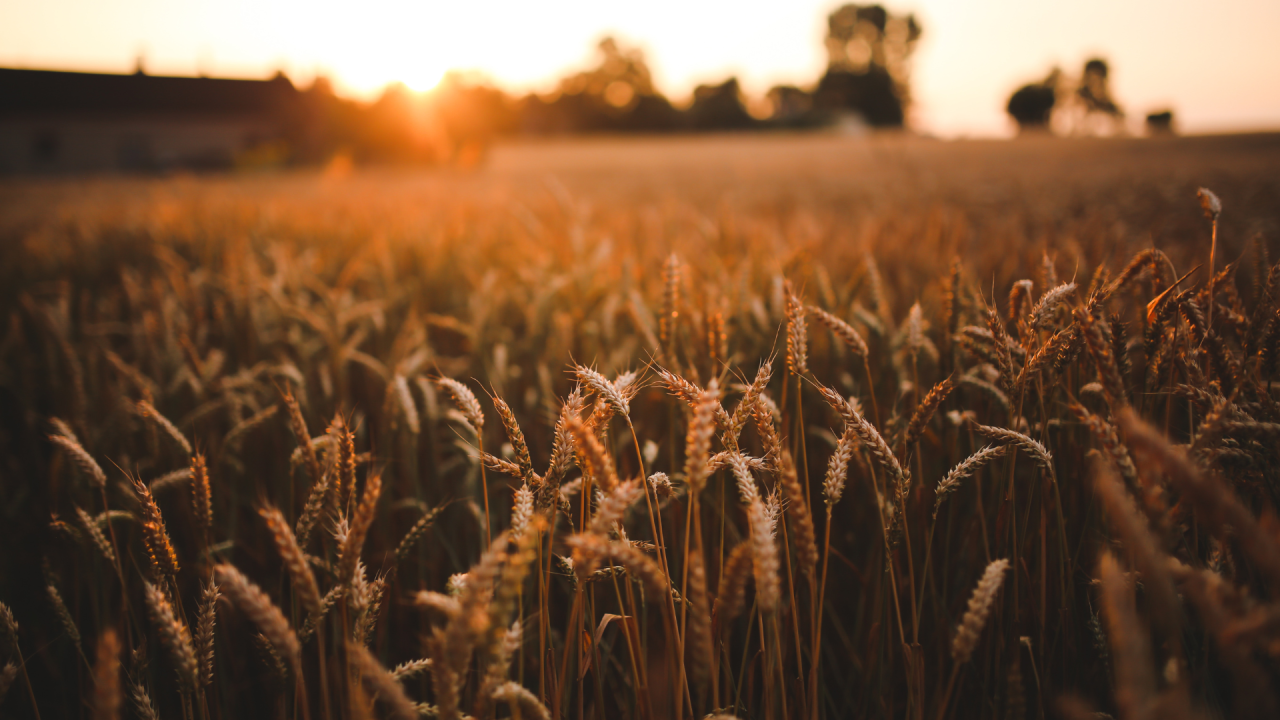 Cool Seed Indústria e Comércio de Equipamentos Agrícolas ad