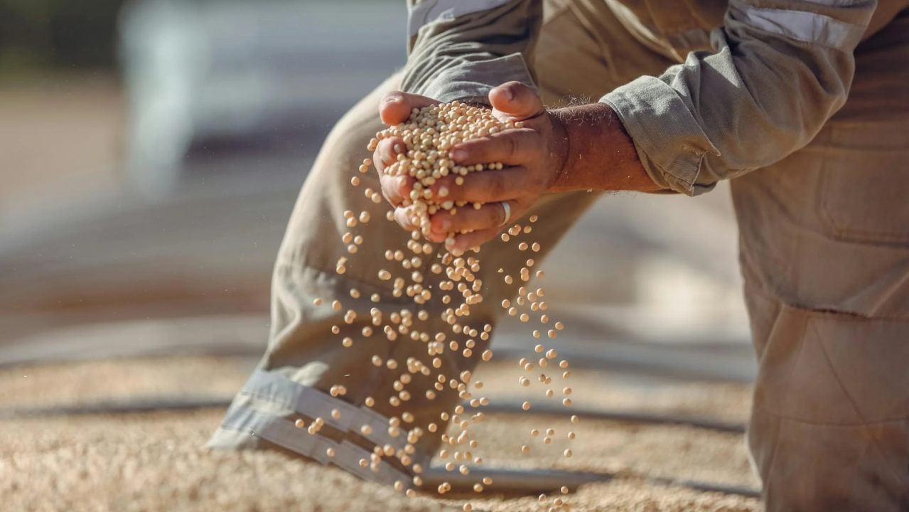 Cool Seed Indústria e Comércio de Equipamentos Agrícolas ad