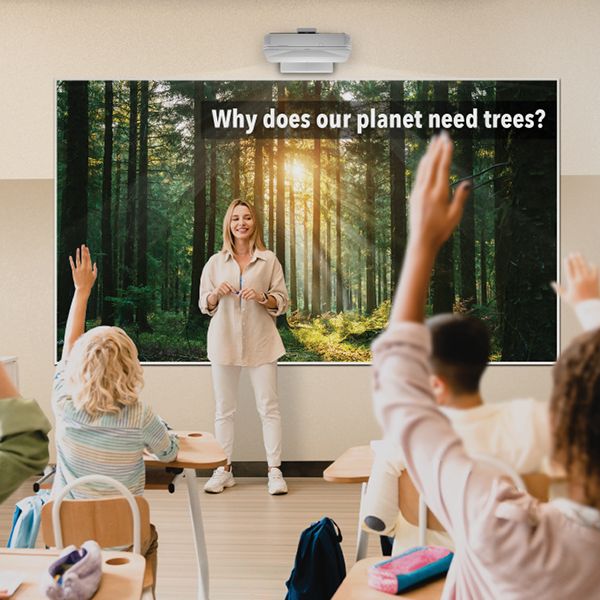 Avidex ad