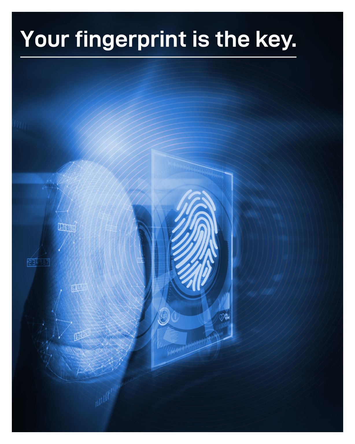 Bob Morgan Services Ltd. (BM SECURITY) ad
