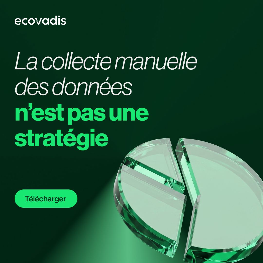EcoVadis ad