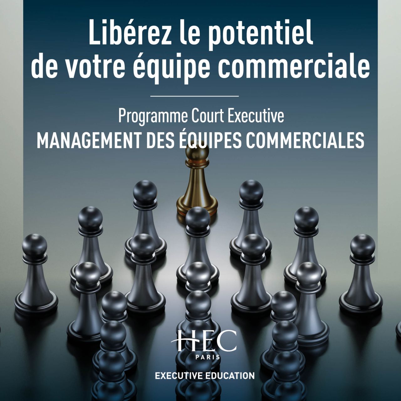 HEC Paris Executive Education ad