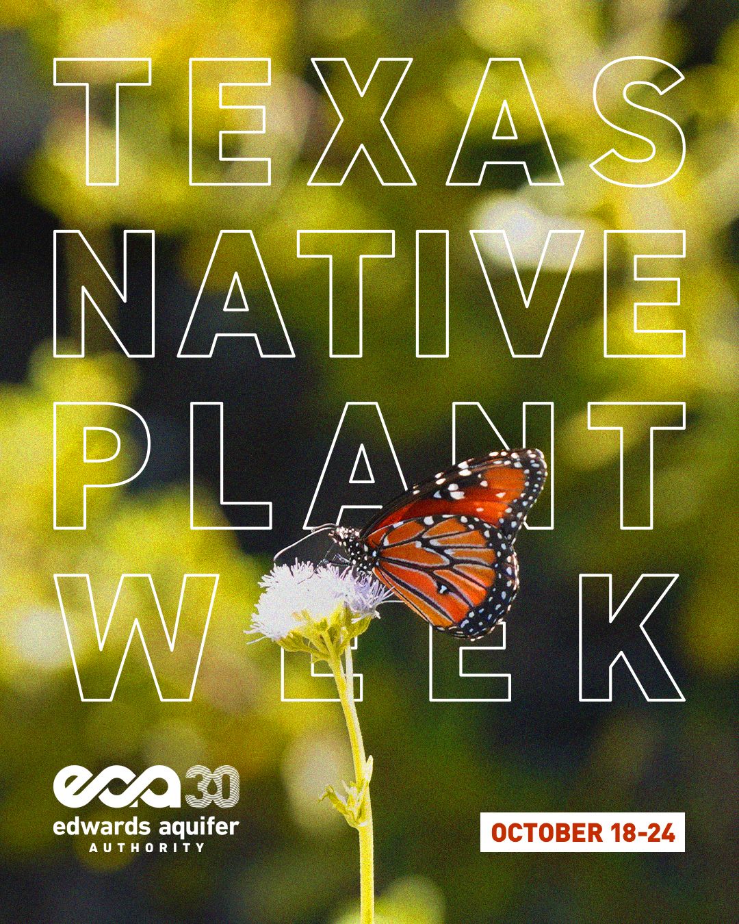 Edwards Aquifer Authority ad