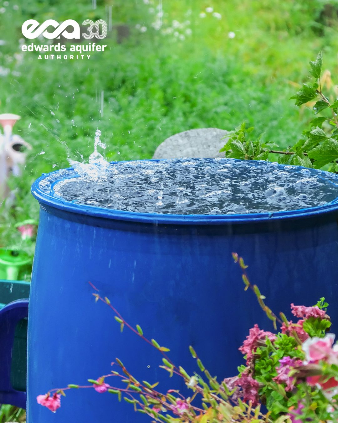 Edwards Aquifer Authority ad