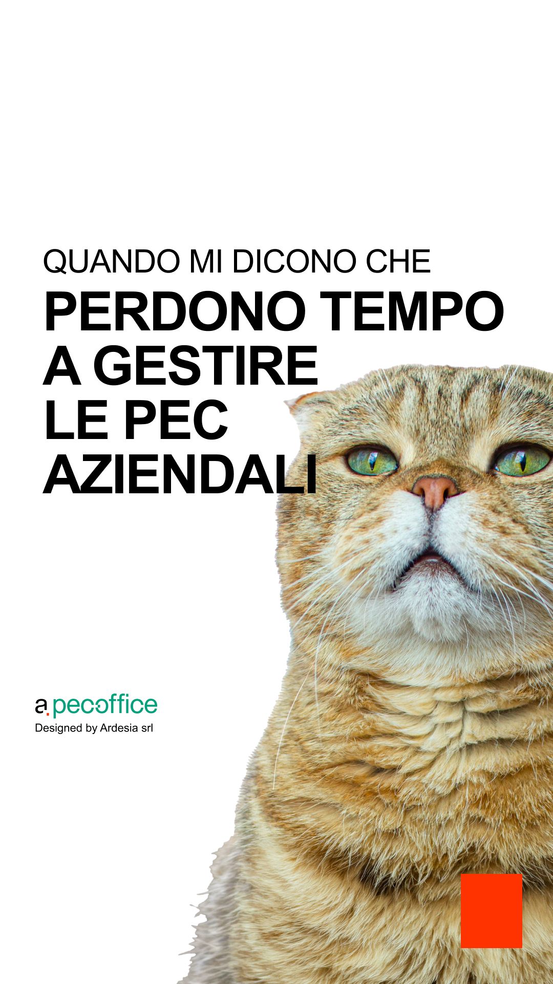 Ardesia Srl ad