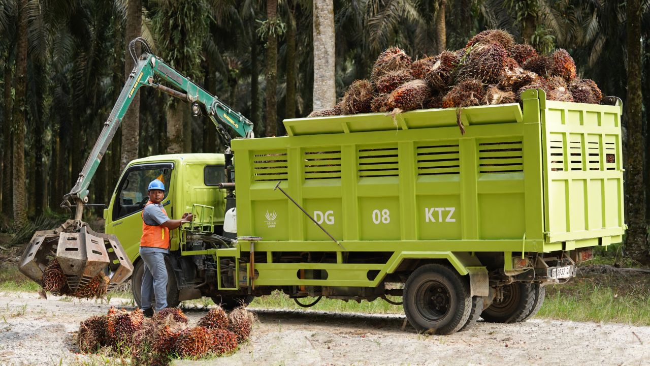 Asian Agri ad