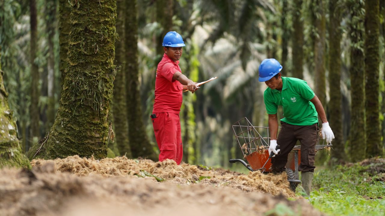 Asian Agri ad