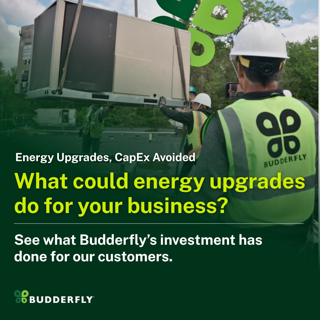 Budderfly ad