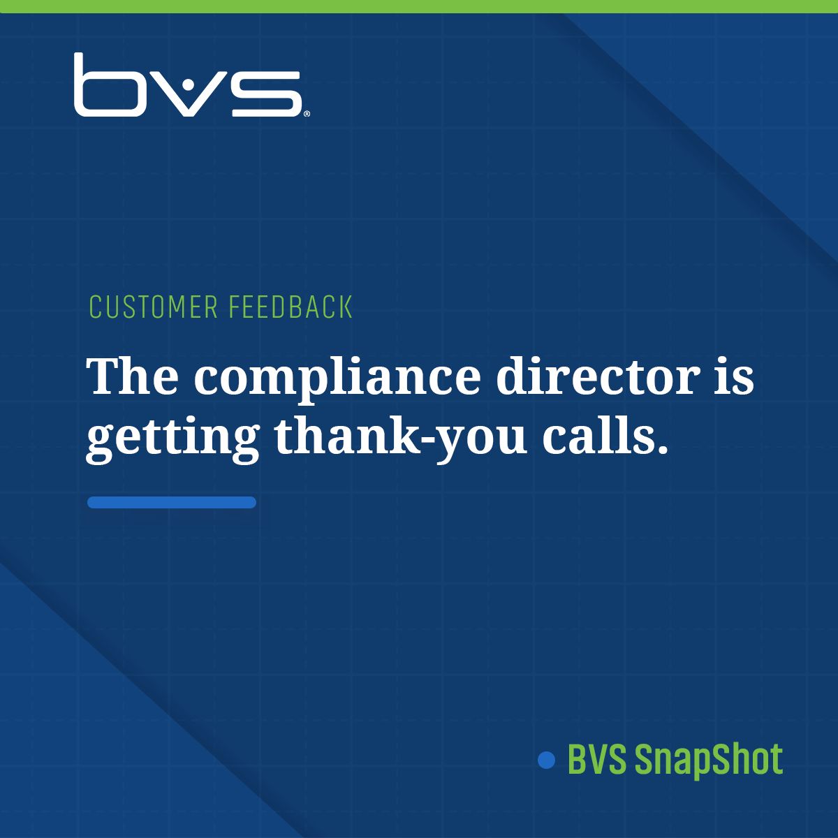 BVS Performance Solutions ad