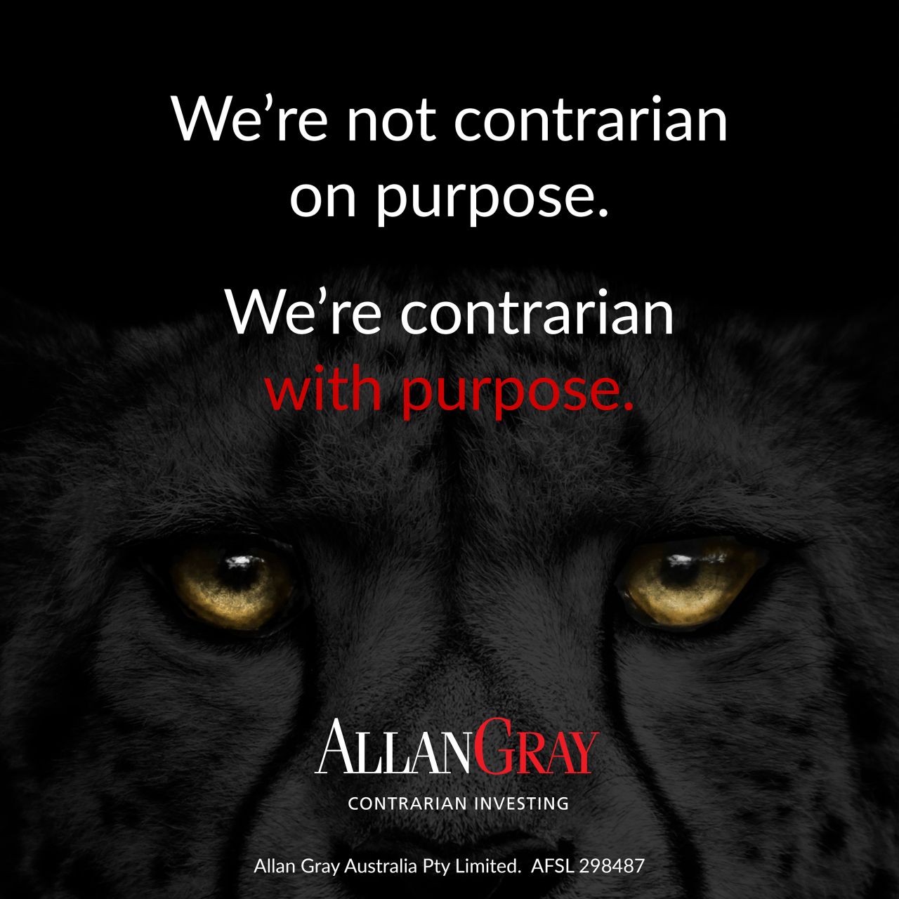 Allan Gray Australia ad