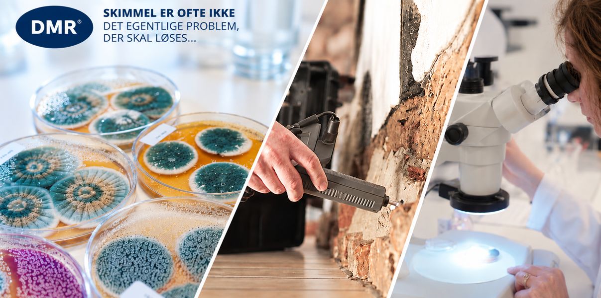 Dansk Miljørådgivning A/S ad