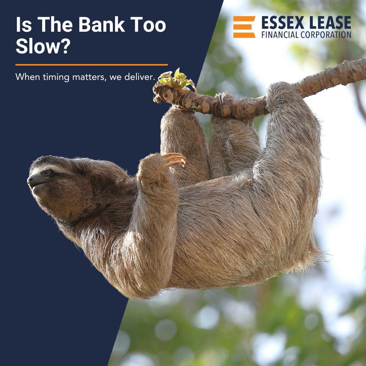 Essex Lease Financial Corporation ad