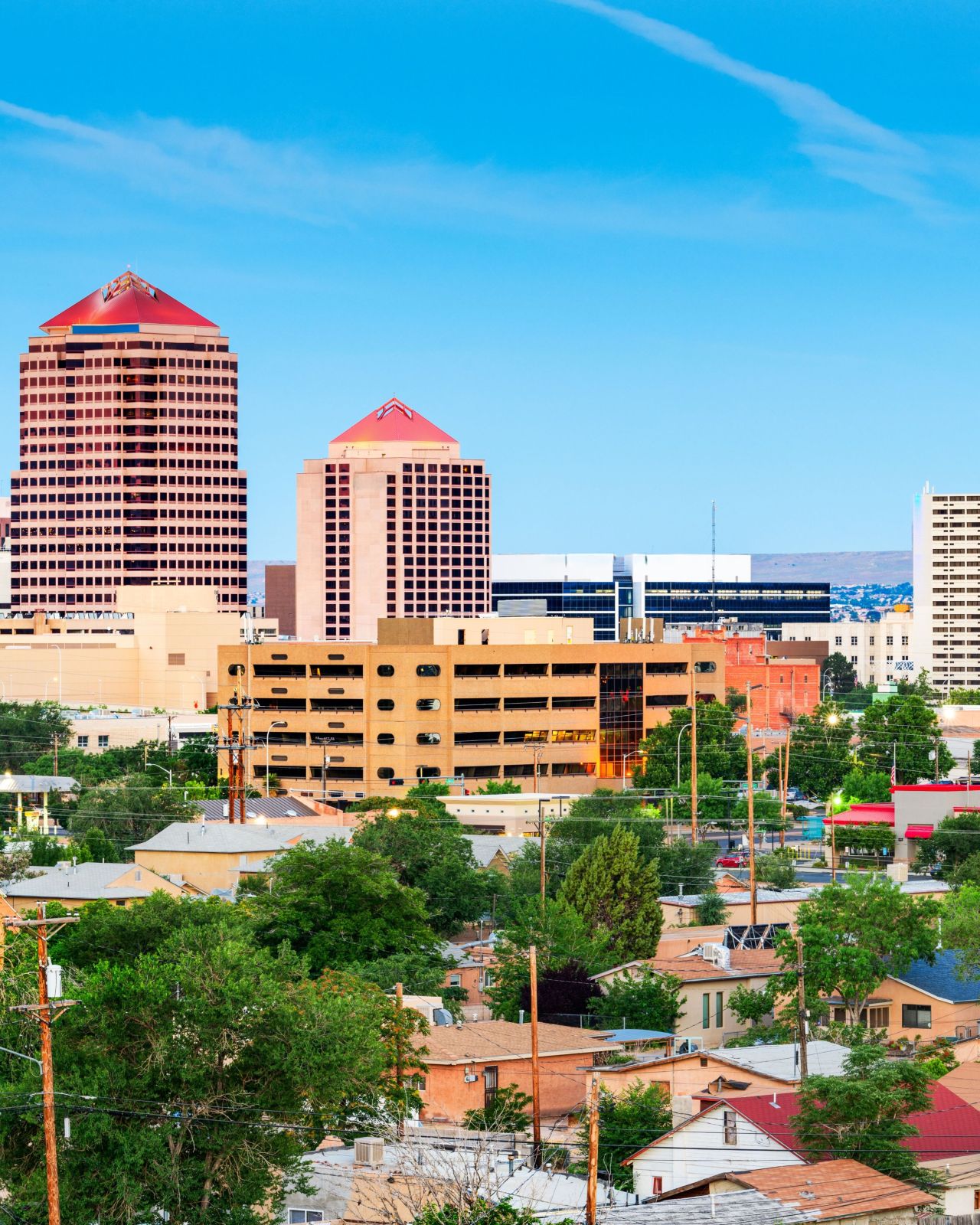 Albuquerque Business First ad