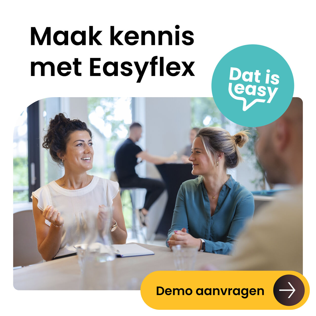 Easyflex NL ad