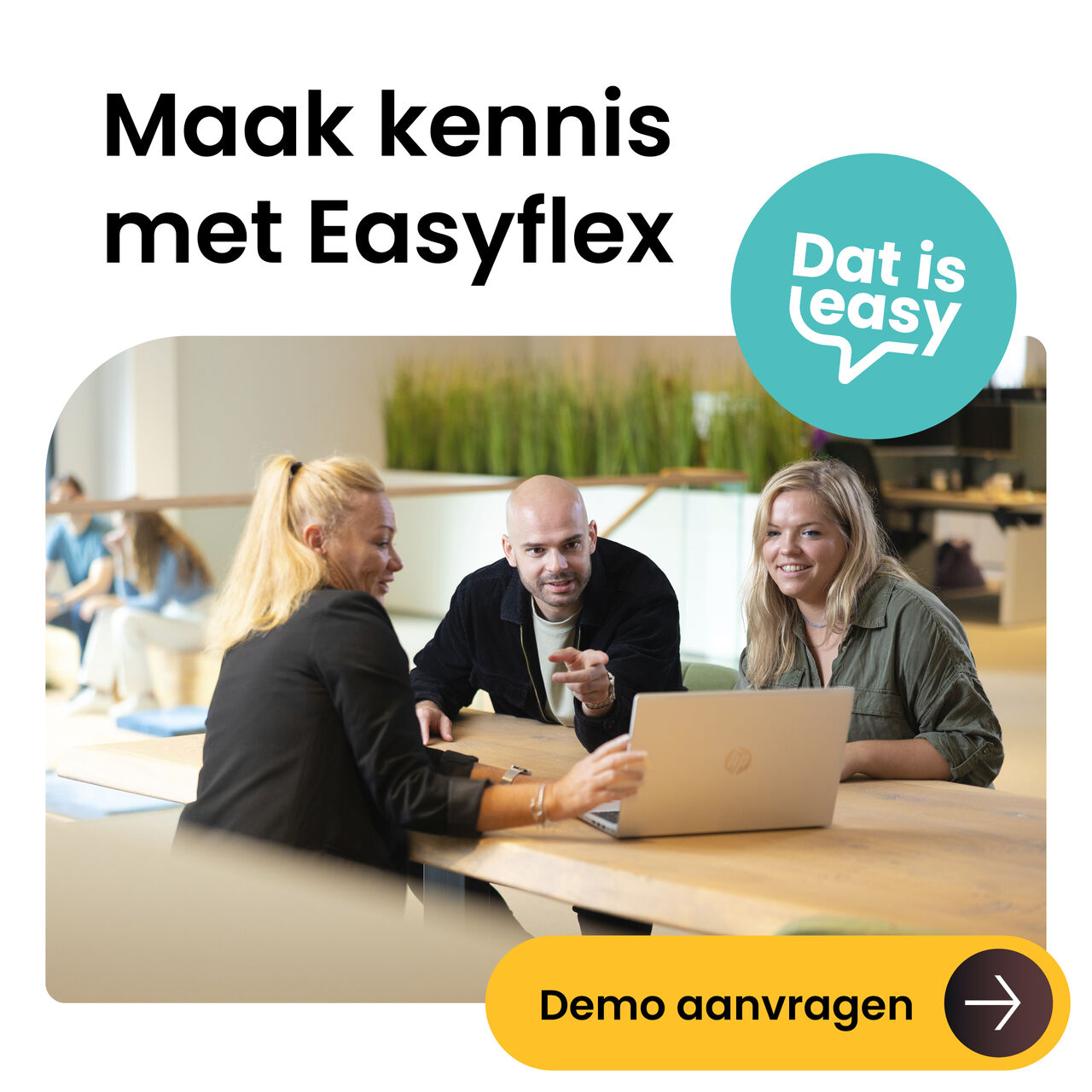 Easyflex NL ad