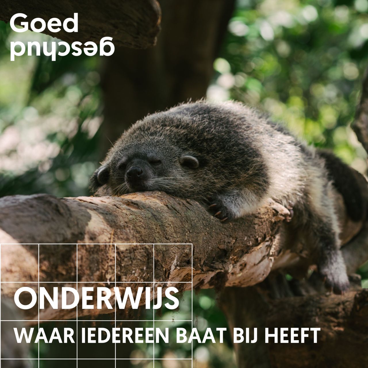 Goed geschud ad