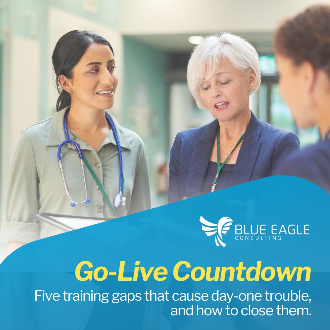 Blue Eagle Consulting, Inc. ad