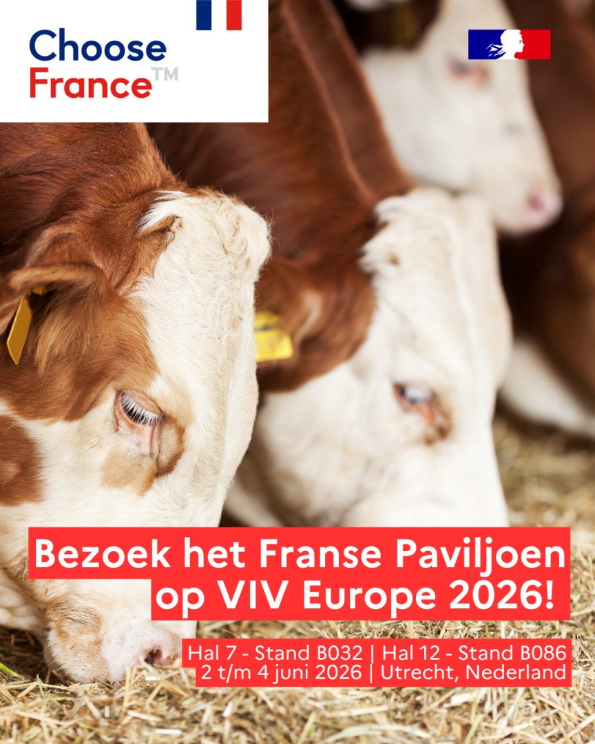 Business France Netherlands ad