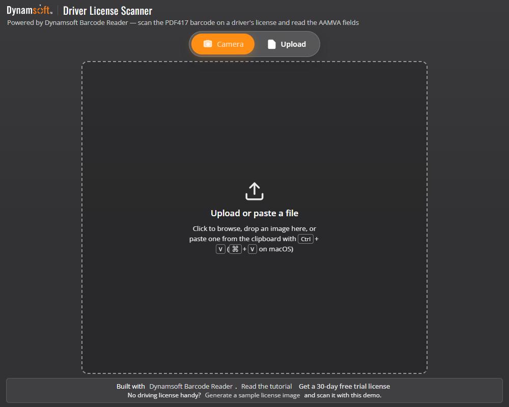 Dynamsoft ad