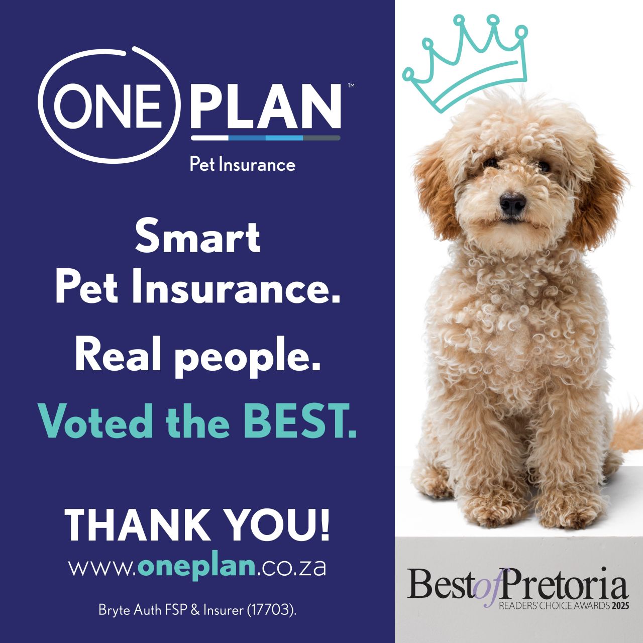 Oneplan.co.za ad