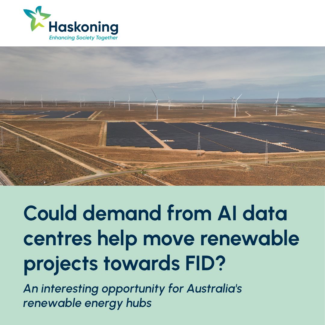 Haskoning ad