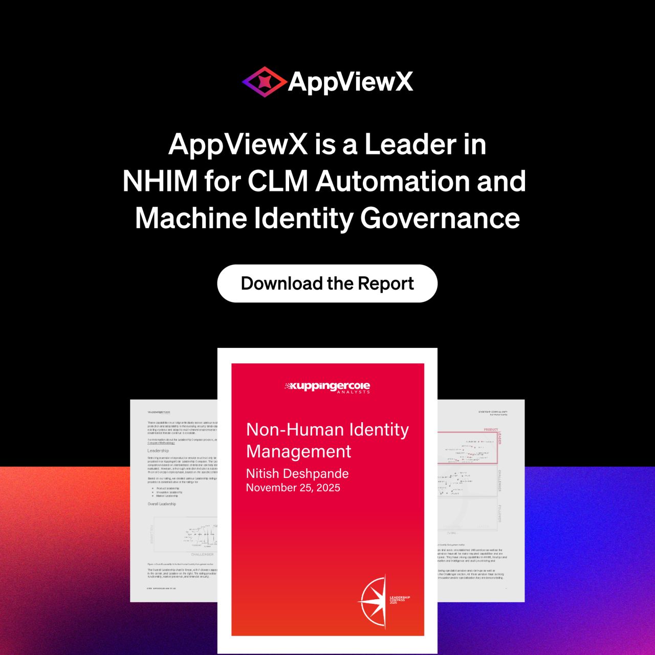 AppViewX ad