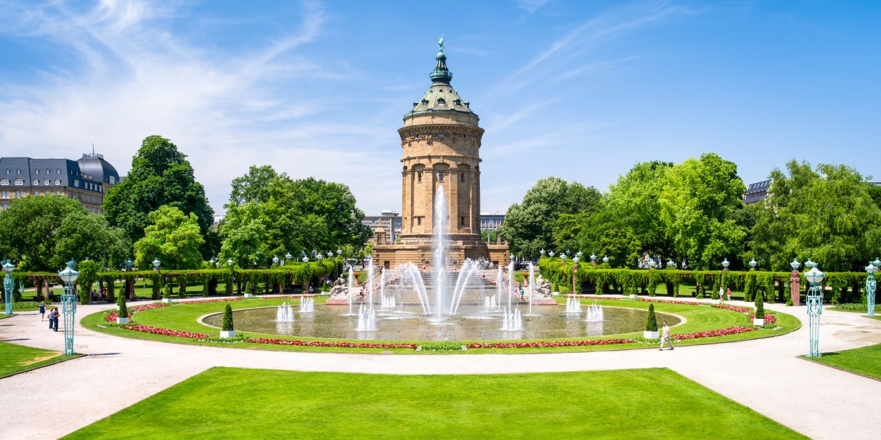 FORUM • Institut für Management GmbH ad