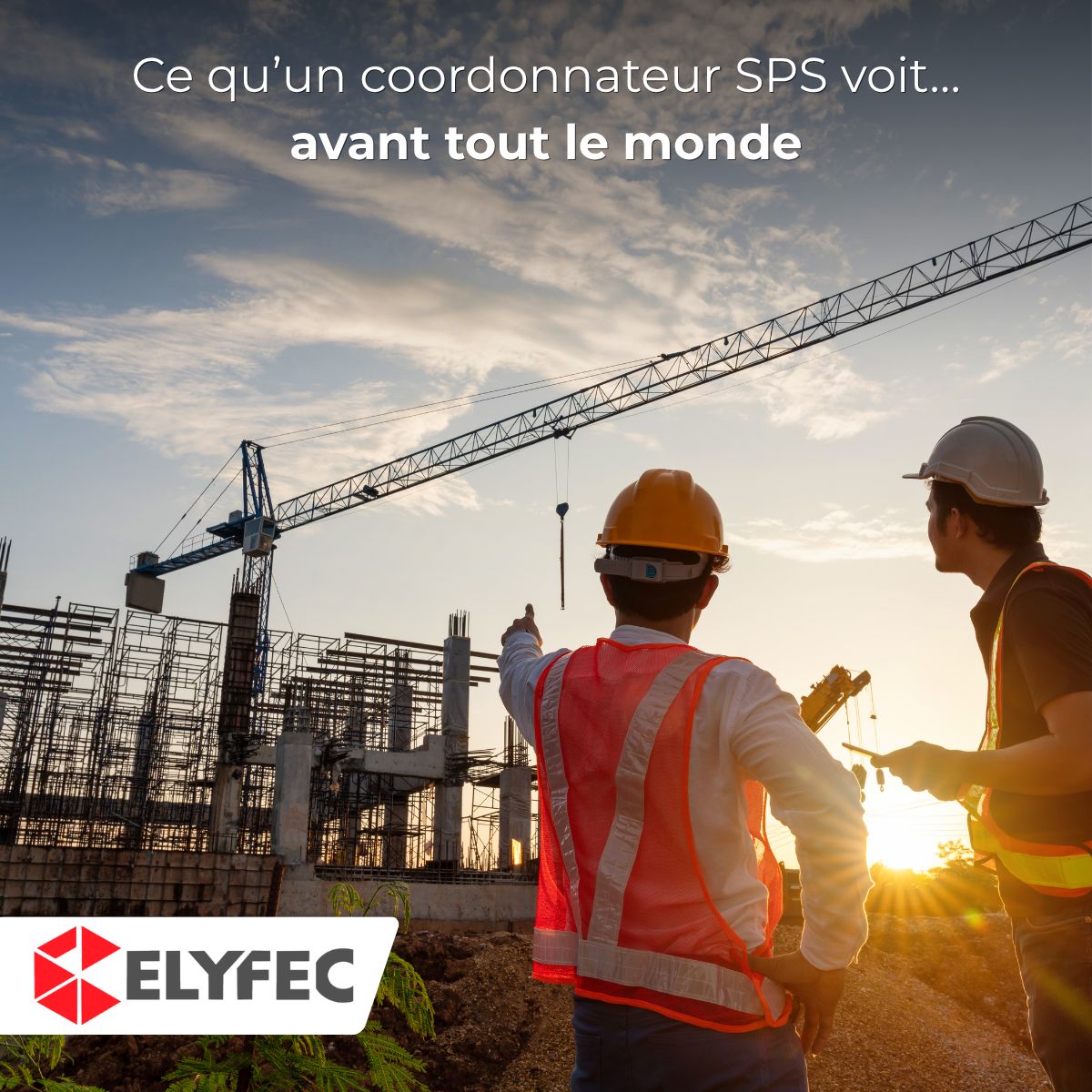 ELYFEC ad