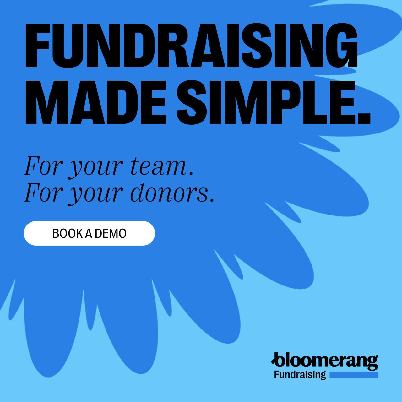 Bloomerang ad