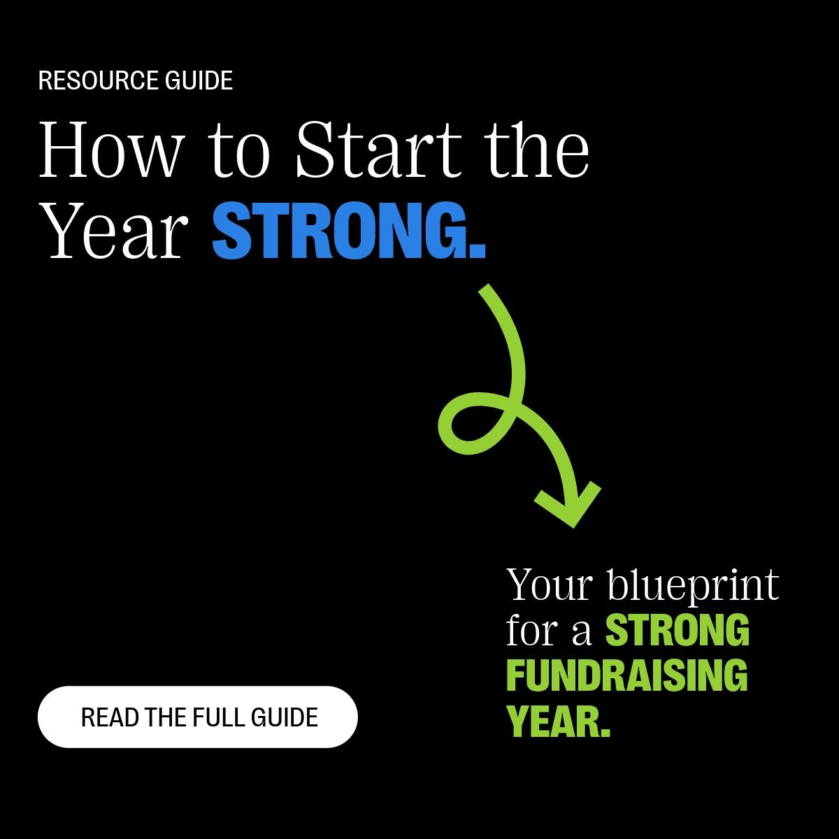 Bloomerang ad