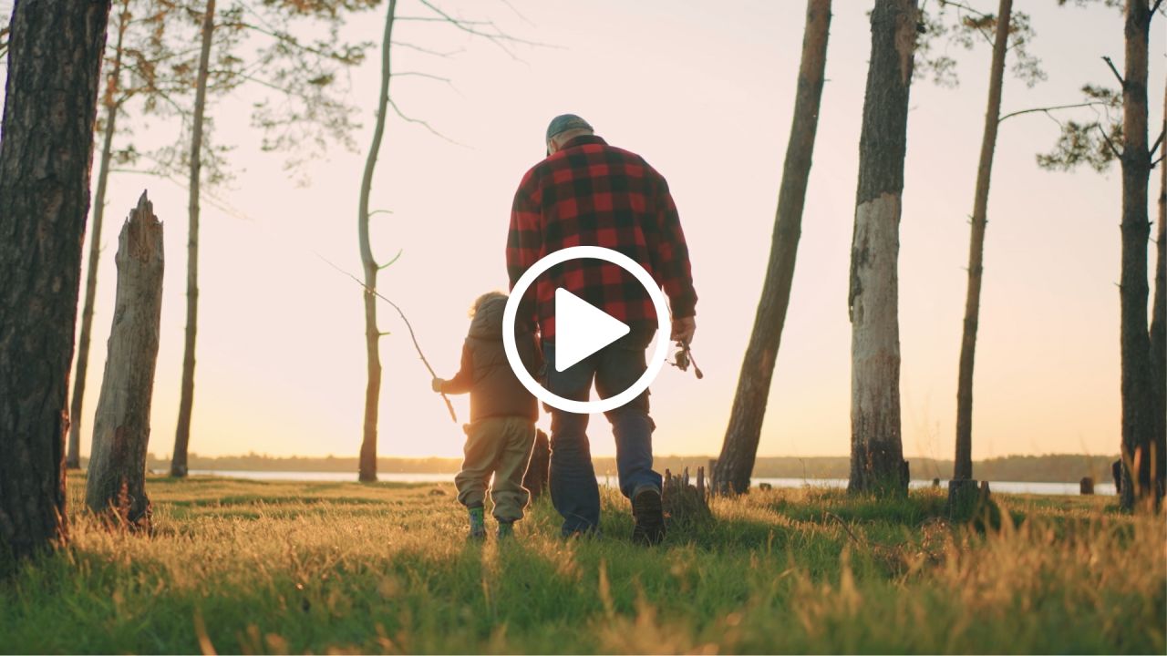 Lifespark ad