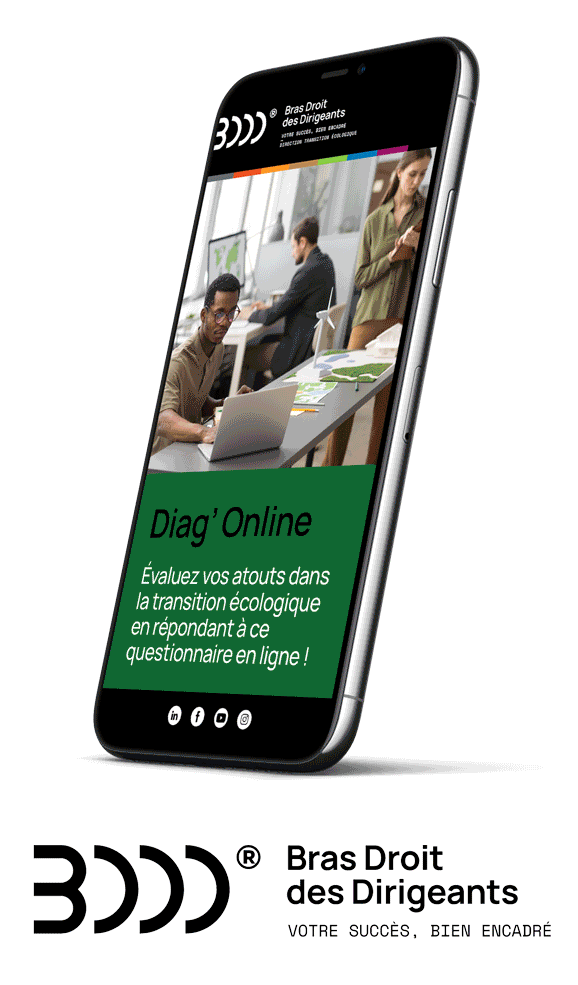 Bras Droit des Dirigeants ad