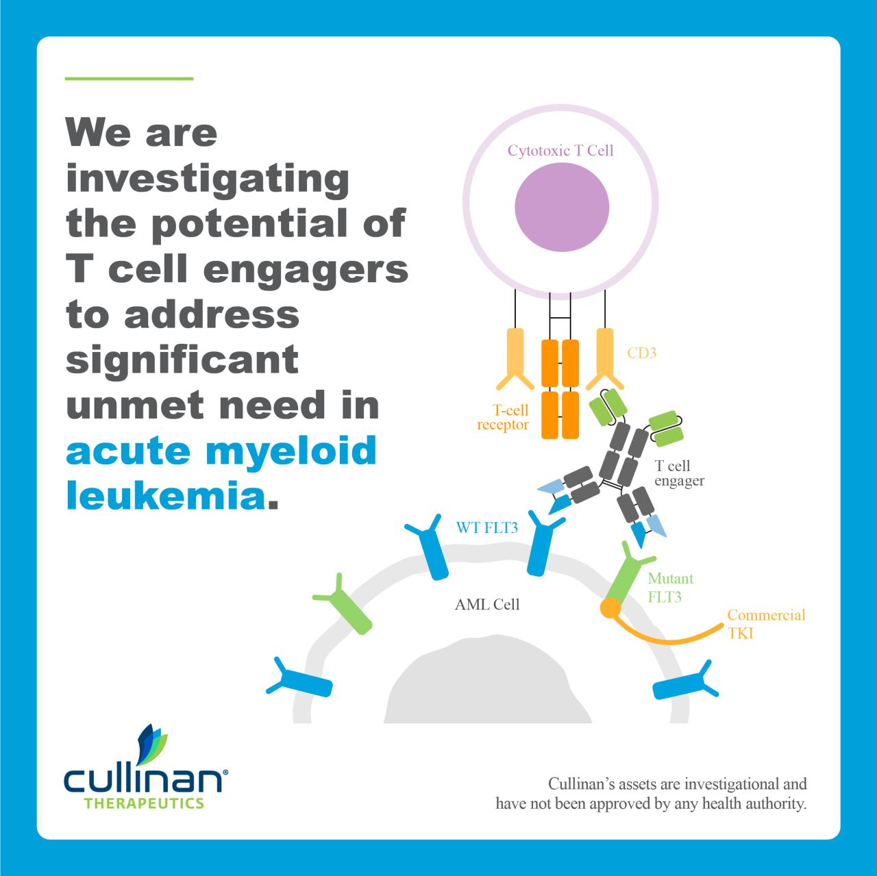 Cullinan Therapeutics ad