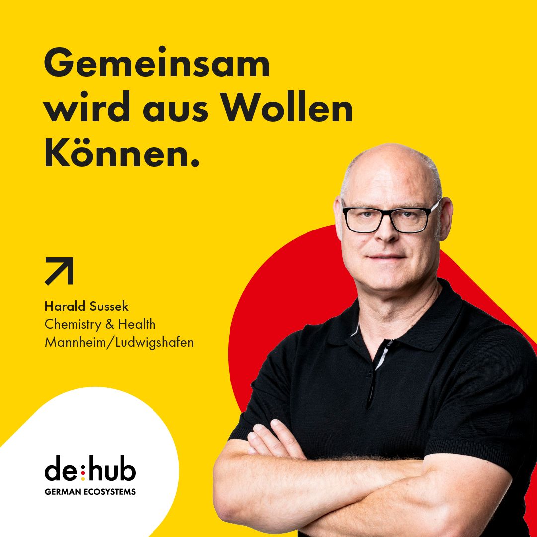 de:hub Initiative ad