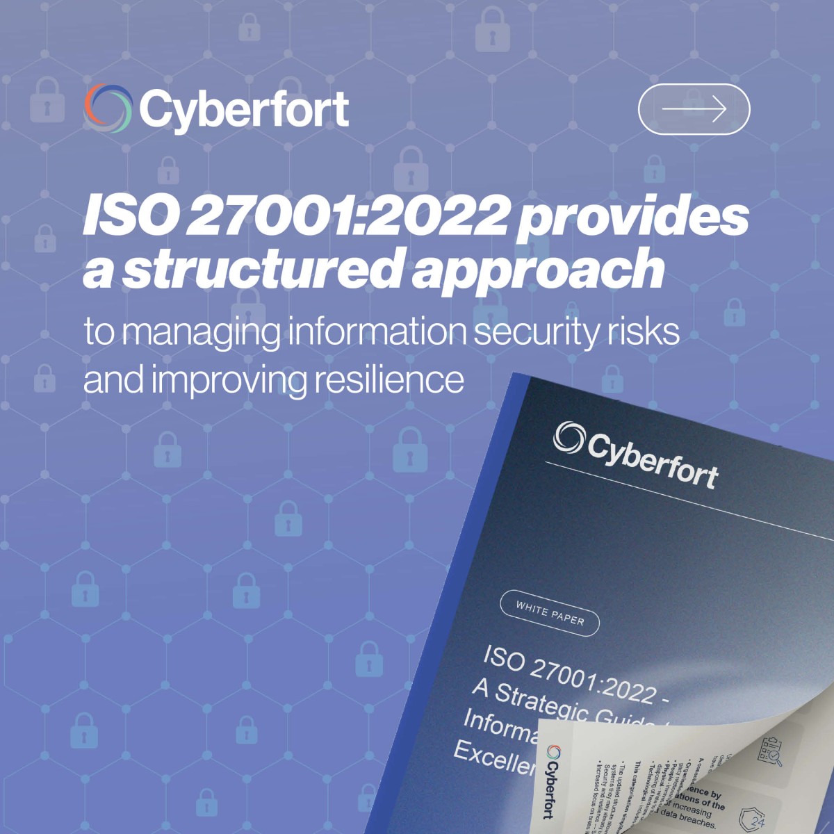 Cyberfort ad