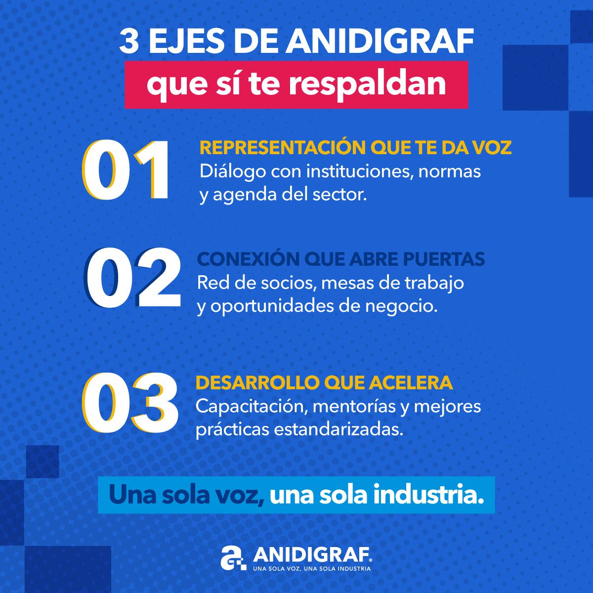 ANIDIGRAF ad