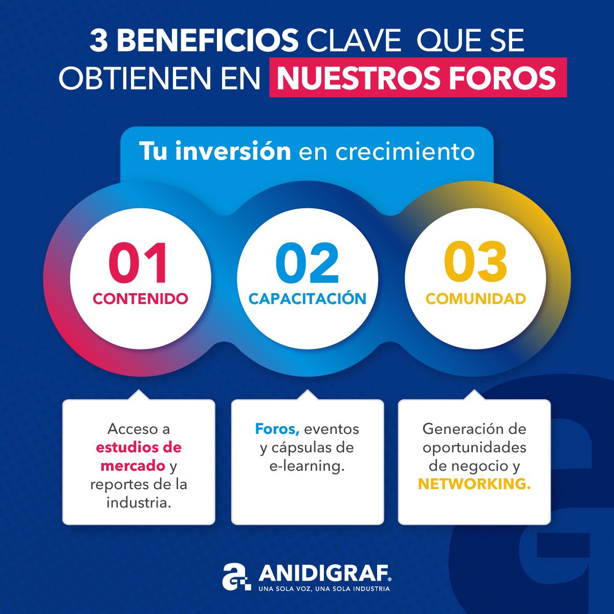 ANIDIGRAF ad