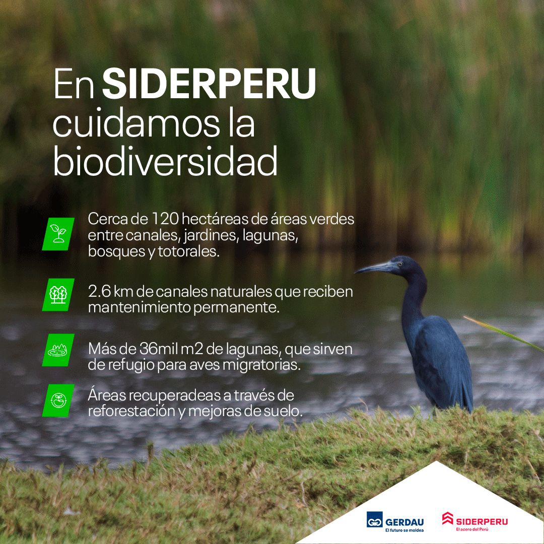 SIDERPERU ad