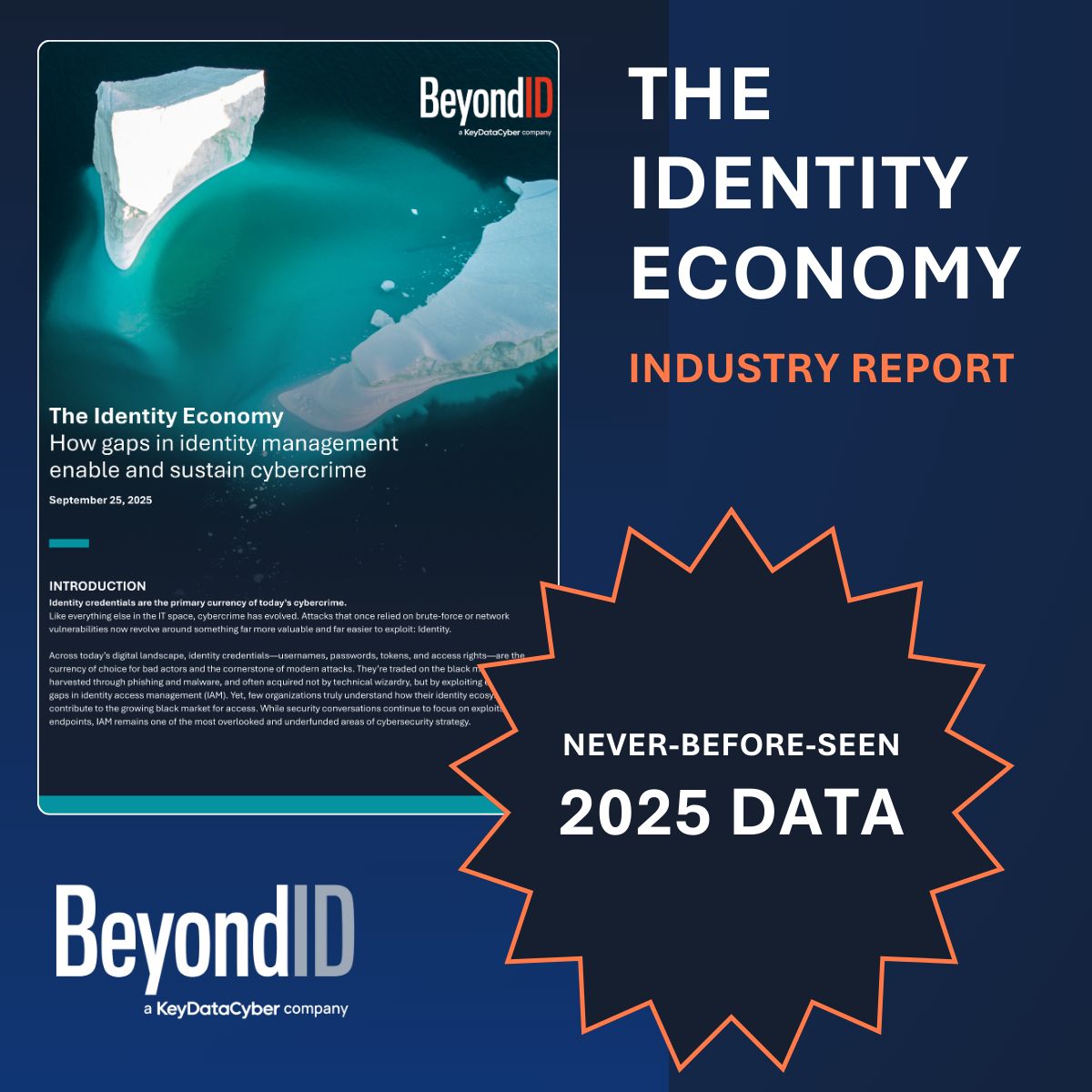 BeyondID - a KeyData Cyber Company ad