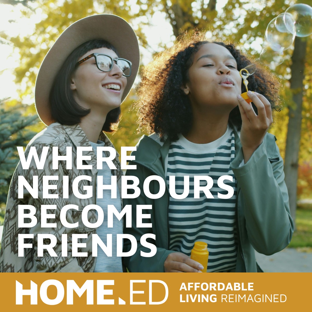 HomeEd ad
