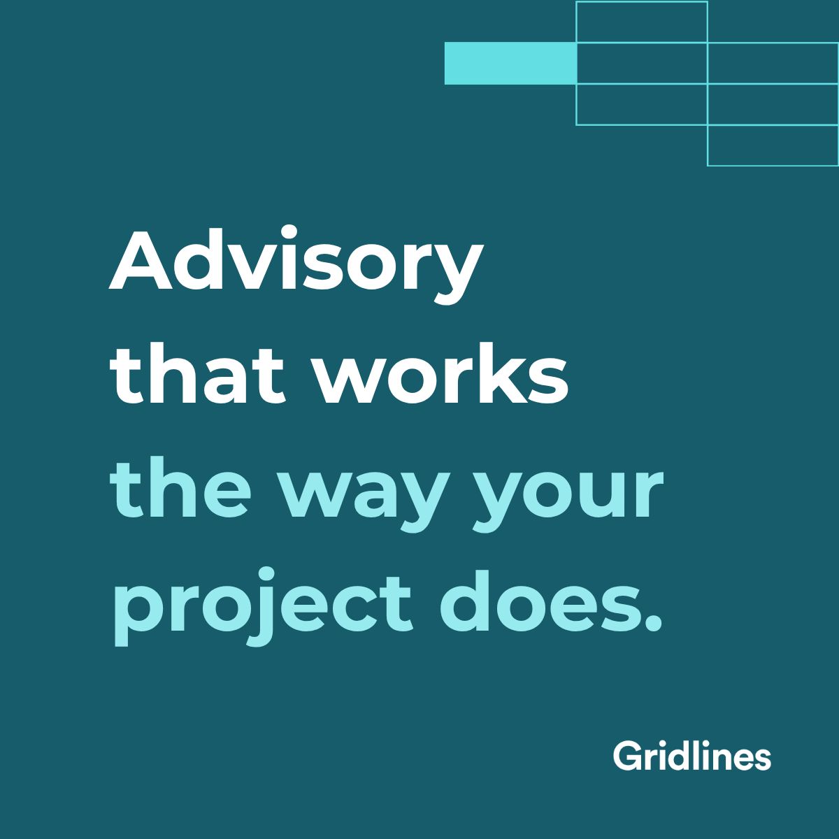 Gridlines ad