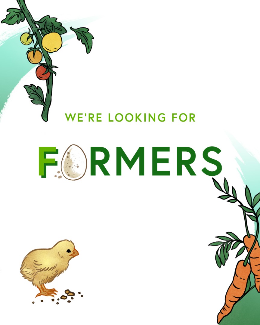 FBD Insurance ad